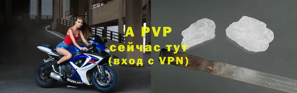 дживик Абаза