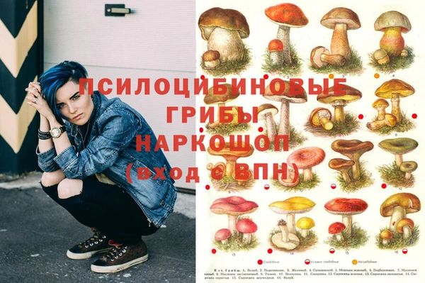хмурый Ростов